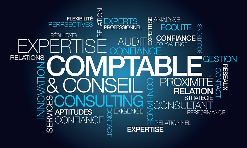 Expertise comptable conseil expert consulting nuage de mots